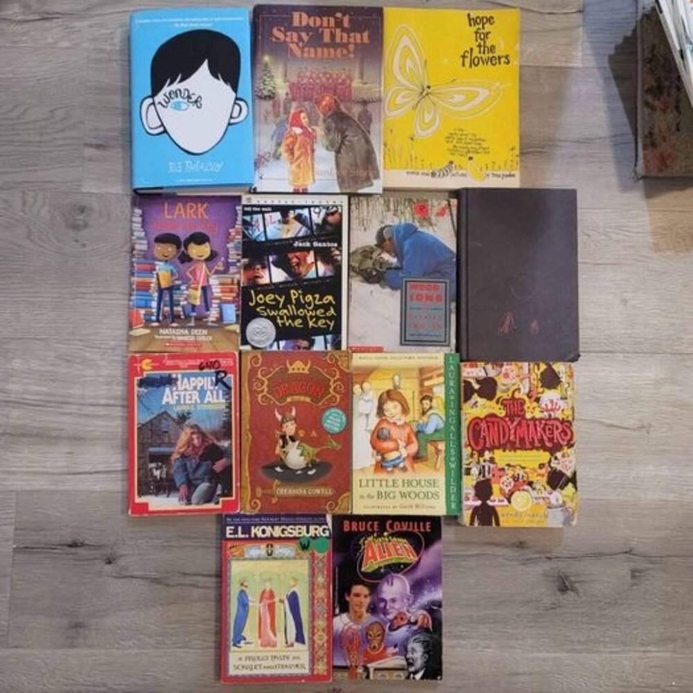 books! lot of 13. tween, teen adult books. used good condition.